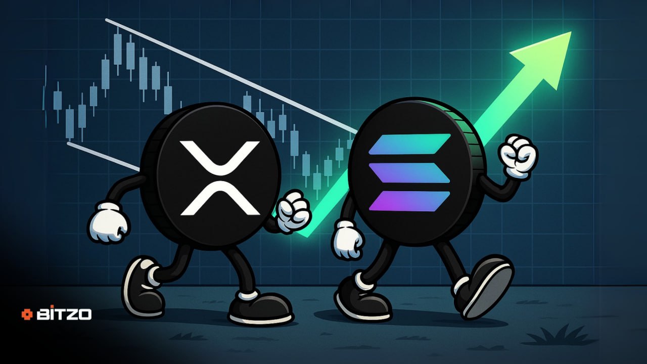 Falling Wedge Breakout Ignites Momentum for XRP – With Solana’s DeFi Activity Rising, Is a Bigger Rally Ahead for SOL?